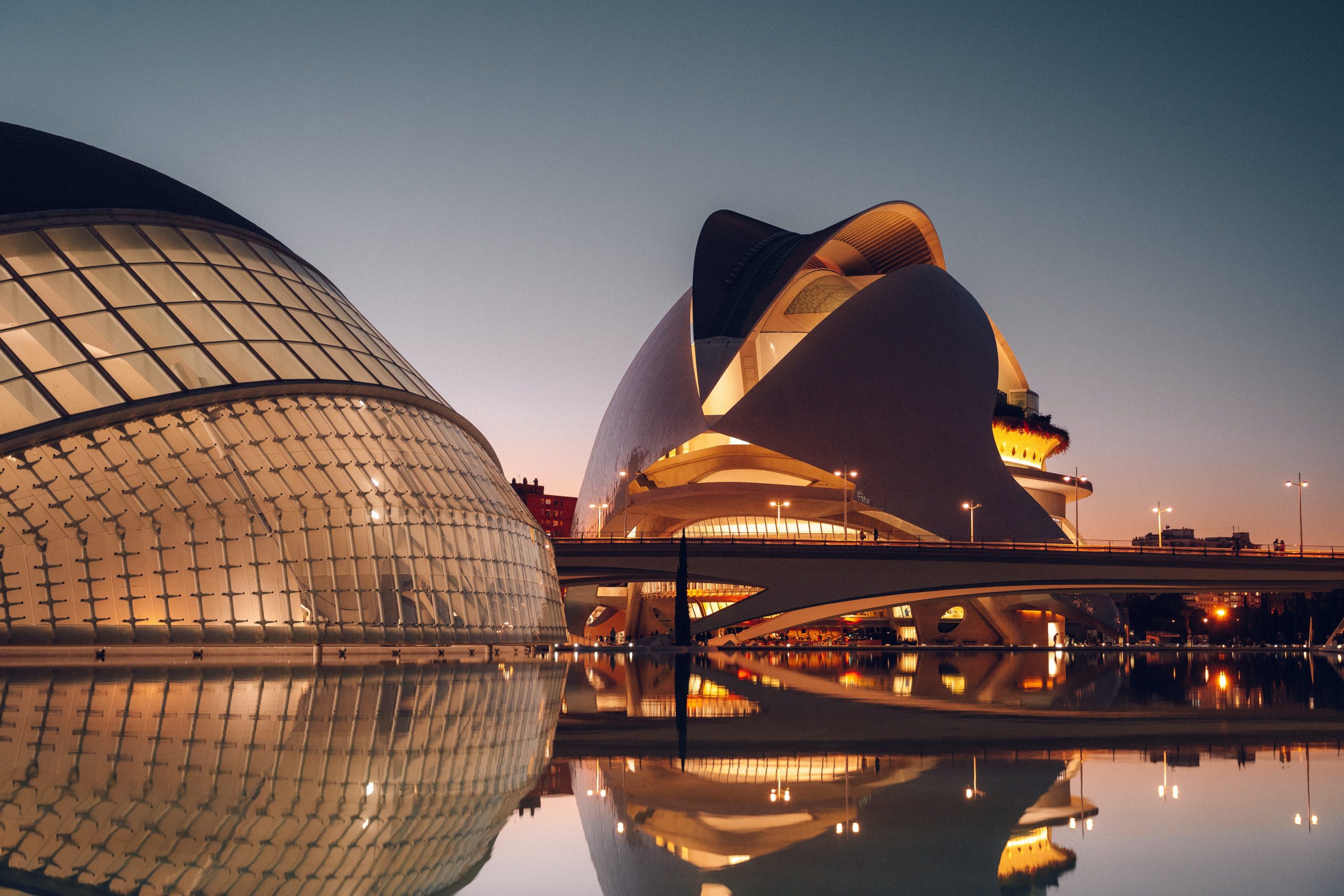 museo de las ciencias en valencia foto de noche